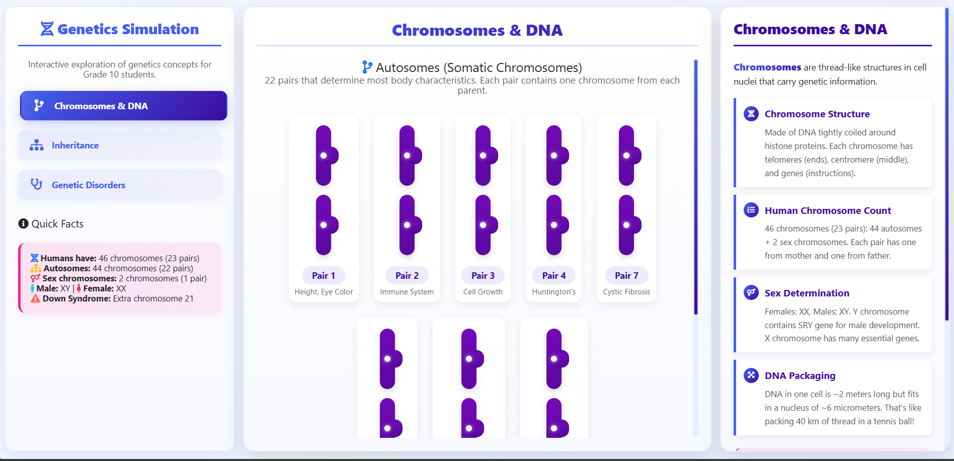 Chromosome, Gene