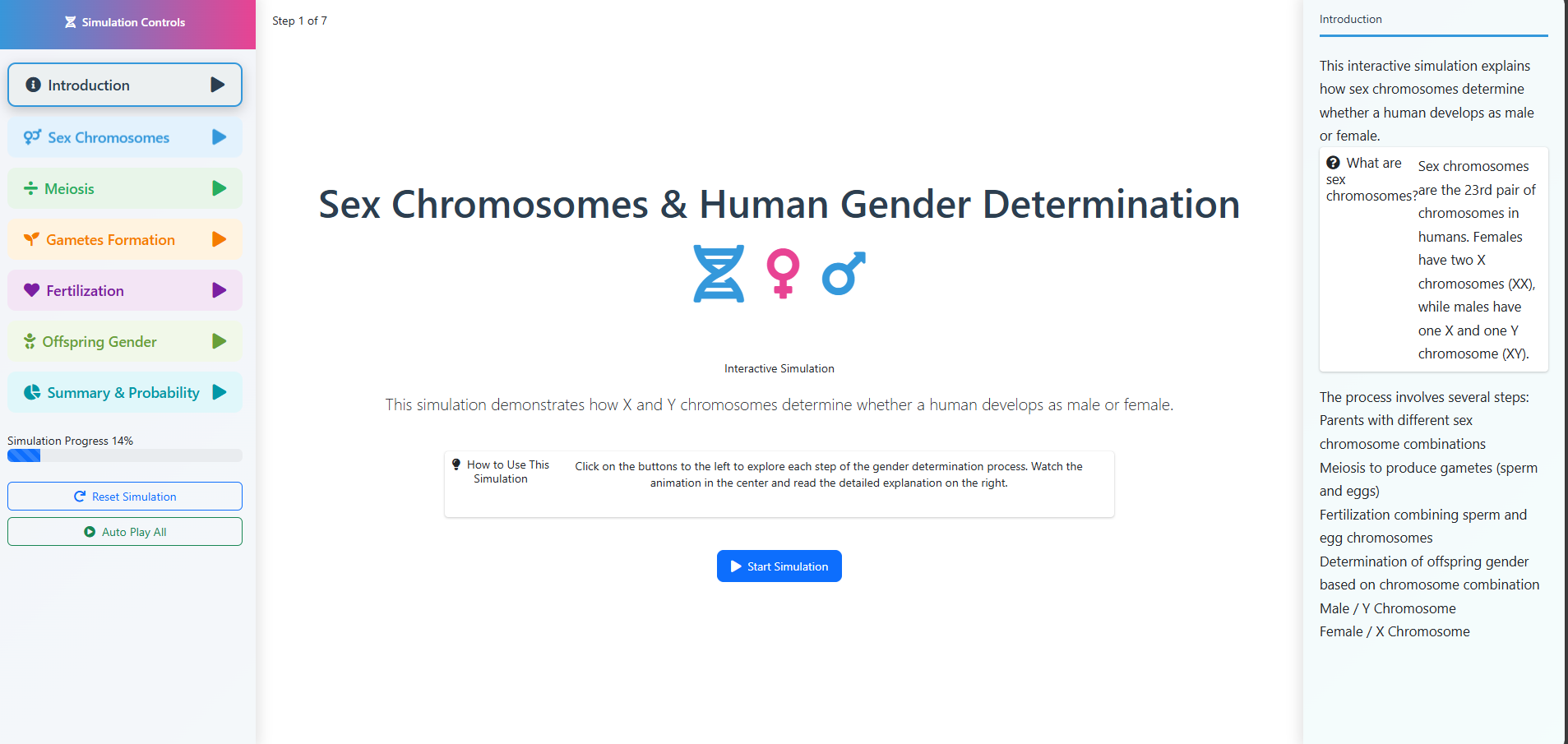 Role of sex chromosomes in the determination of sex in humans