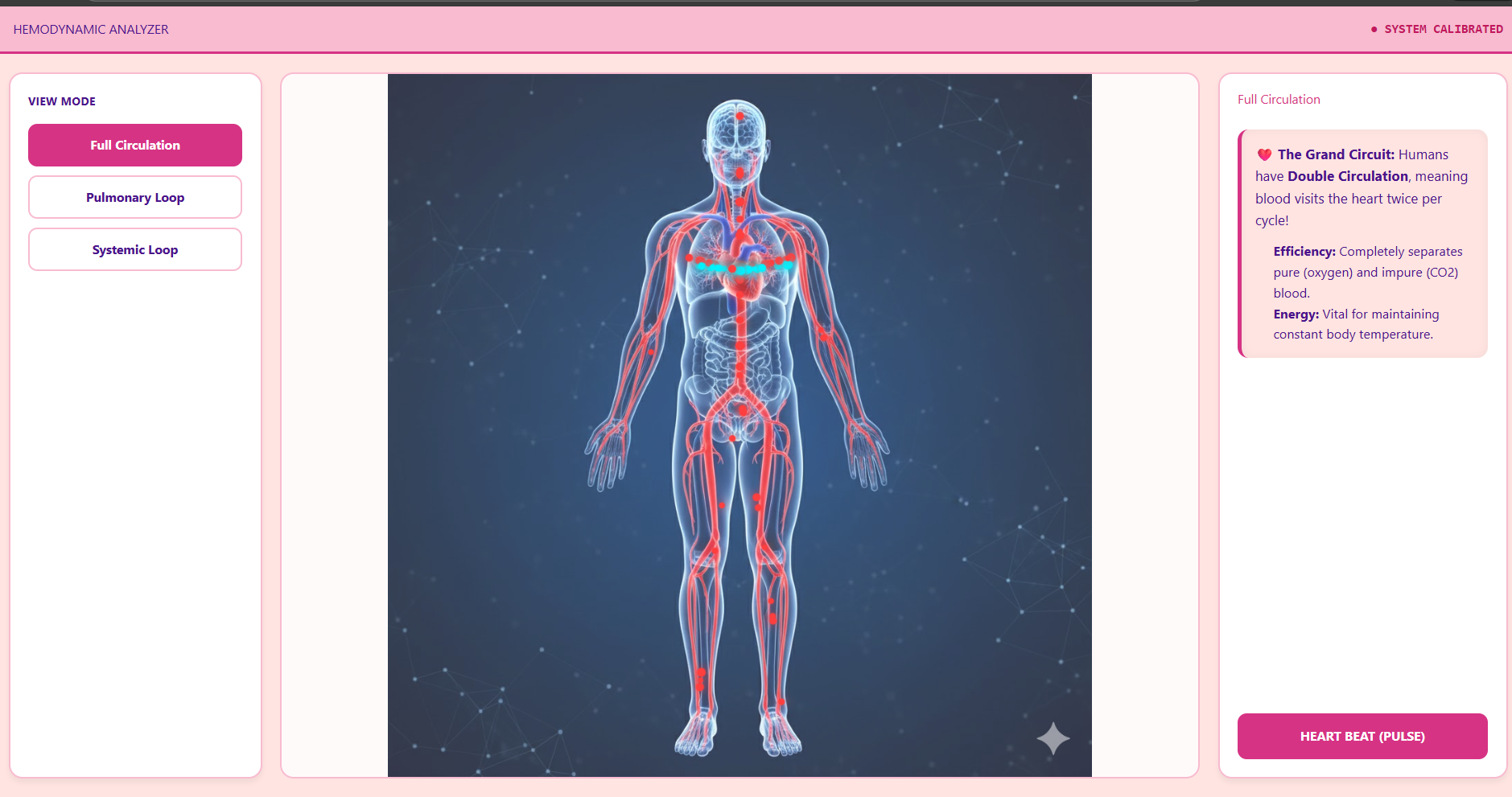 Functions of blood