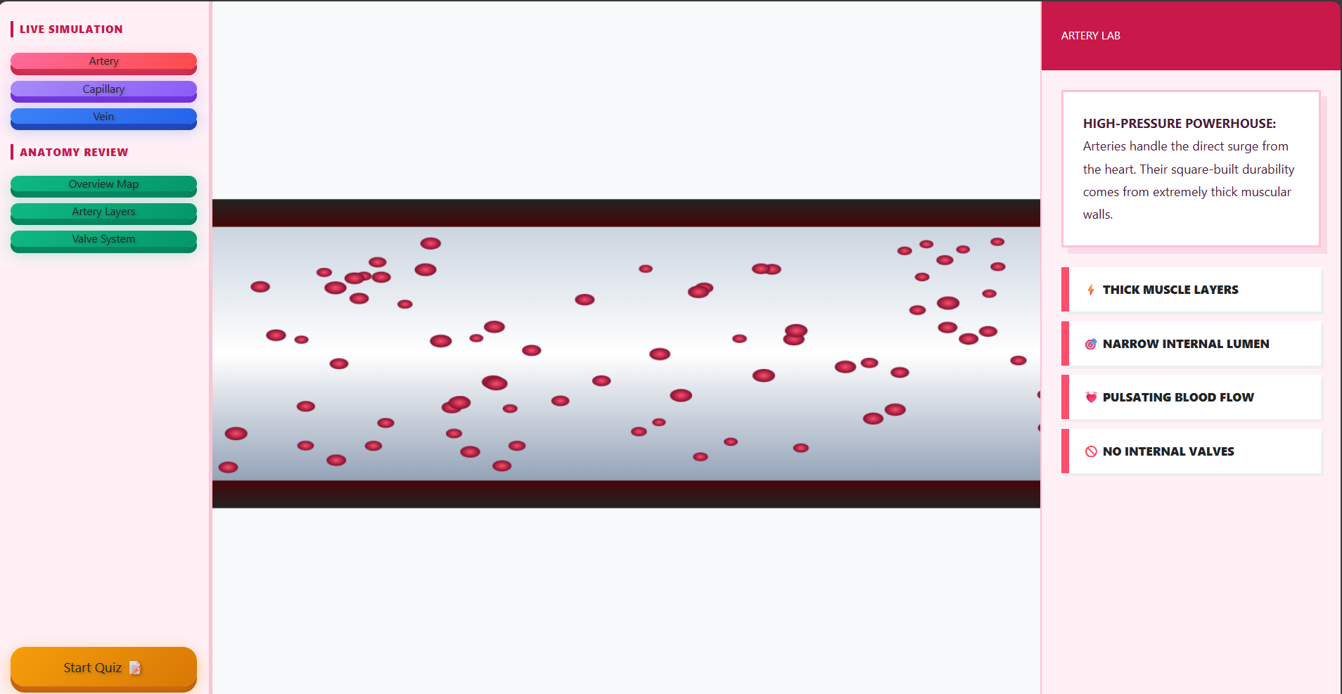 Blood vessel, Artery, Capillaries, Vein
