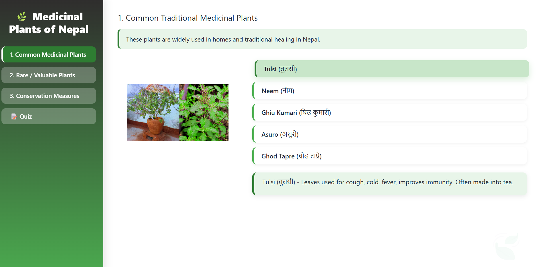 Medicinal plants of traditional use, found in Nepal