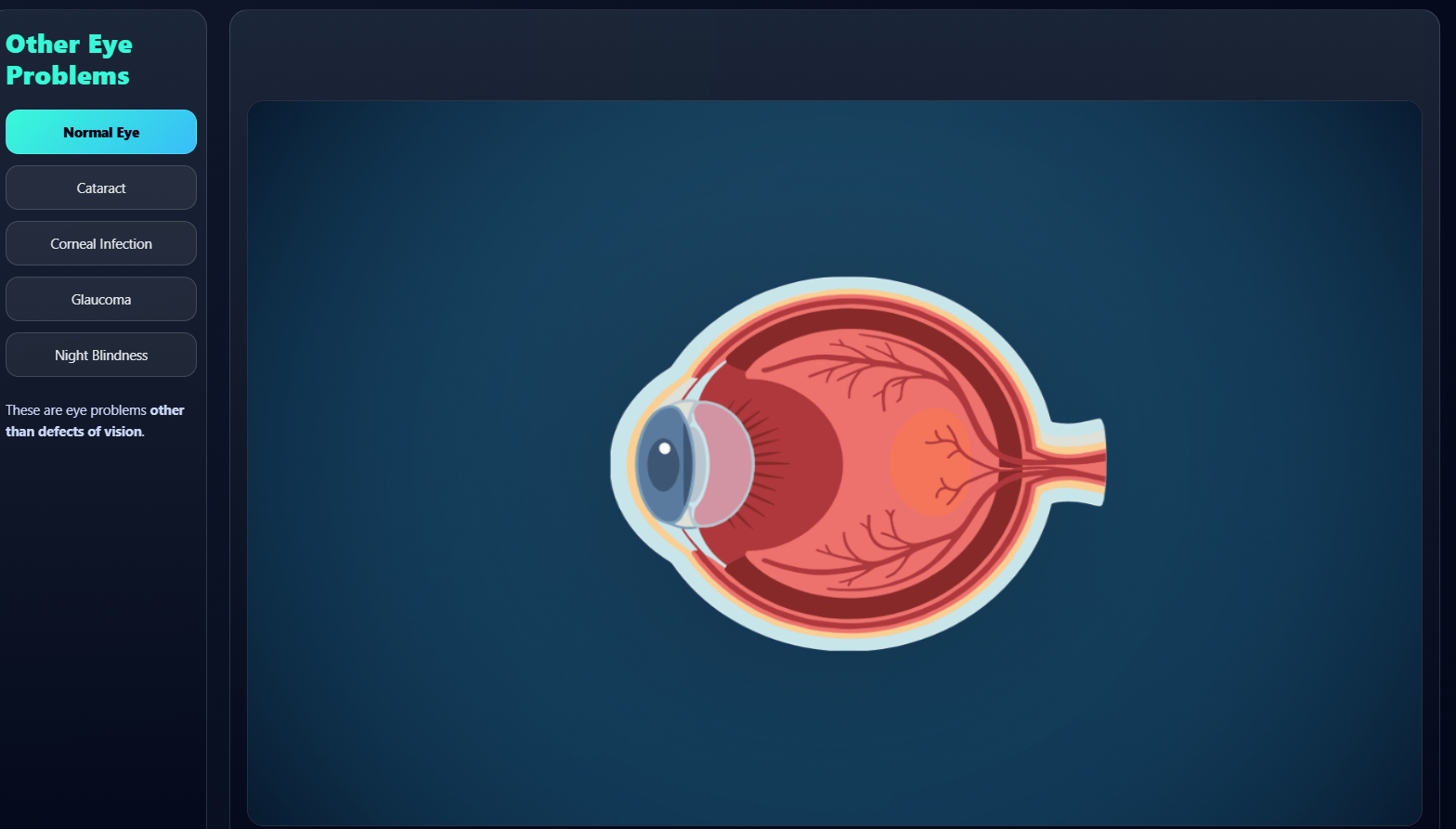 Other problems related to the eye, apart from defects of vision