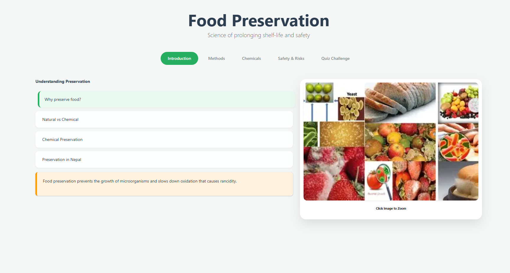 Food preservatives