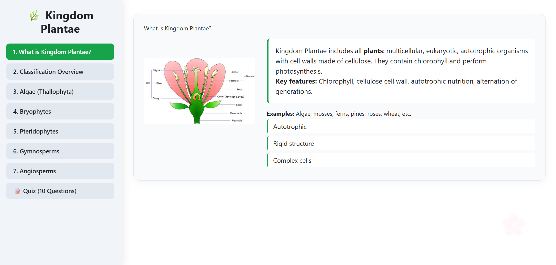 Plantae Kingdom
