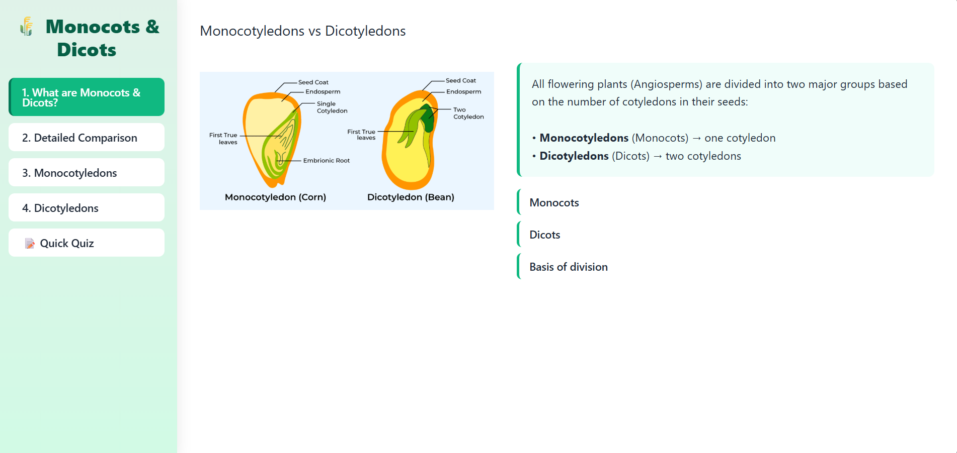 Monocotyledon, Dicotyledon