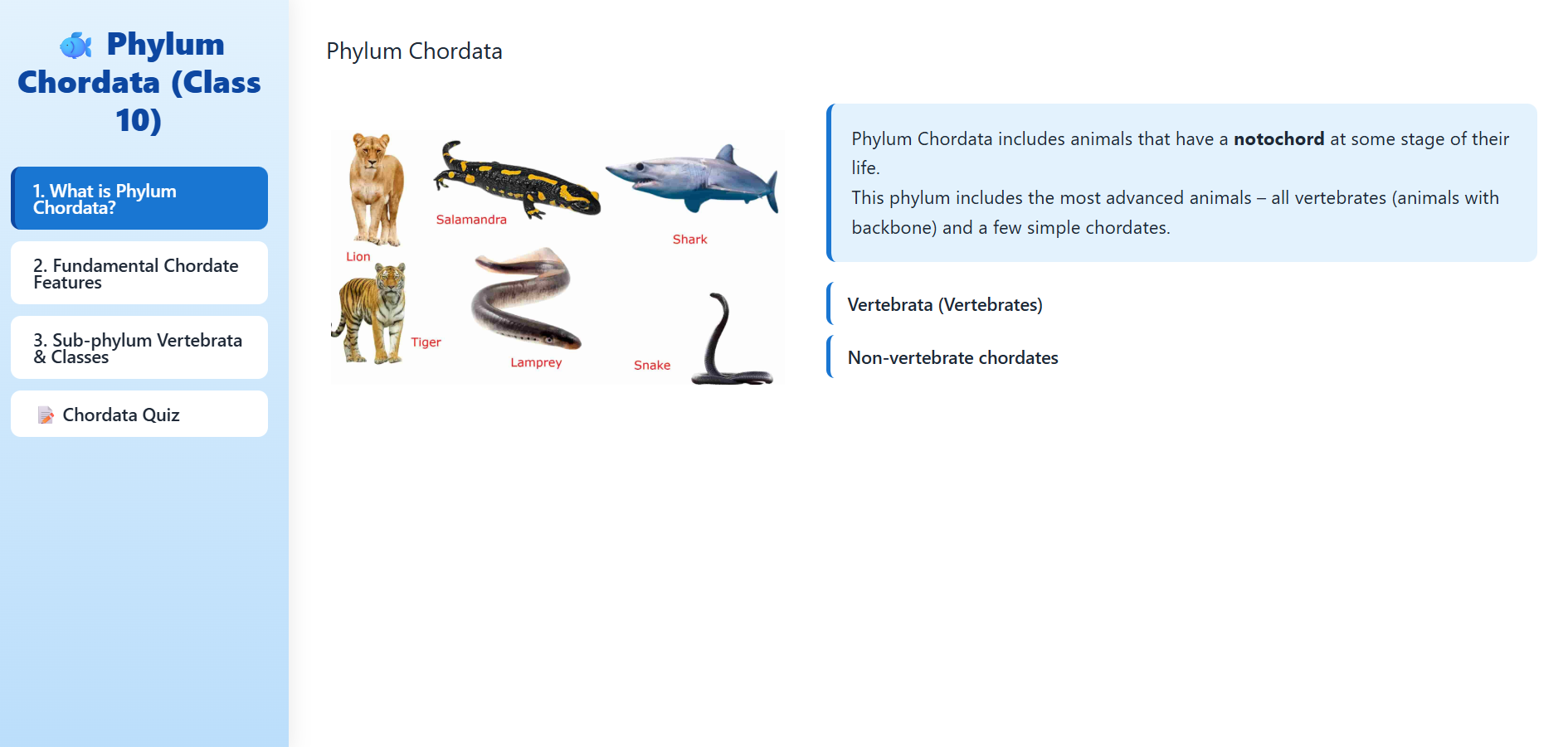 Phylum: Chordata, Sub-phylum