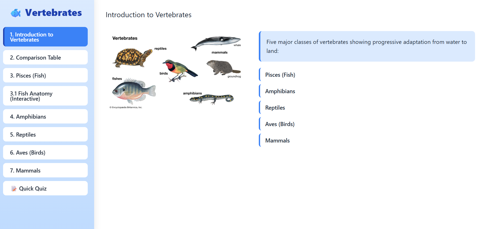 Pisces, Amphibia, Reptilia, Aves, Mammalia