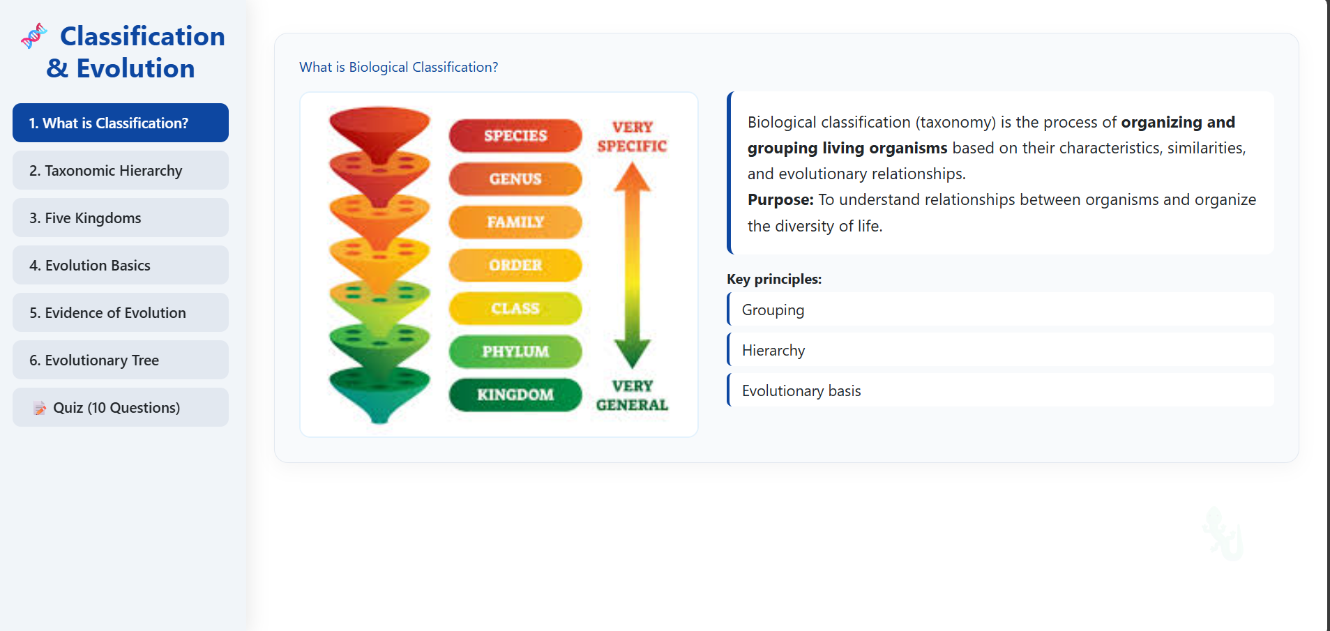Relation of classification of living beings and evolution