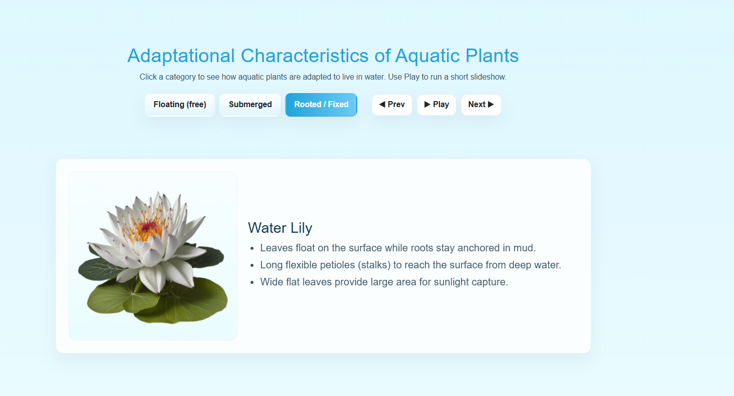 Adaptational Characteristics of Aquatic Animals