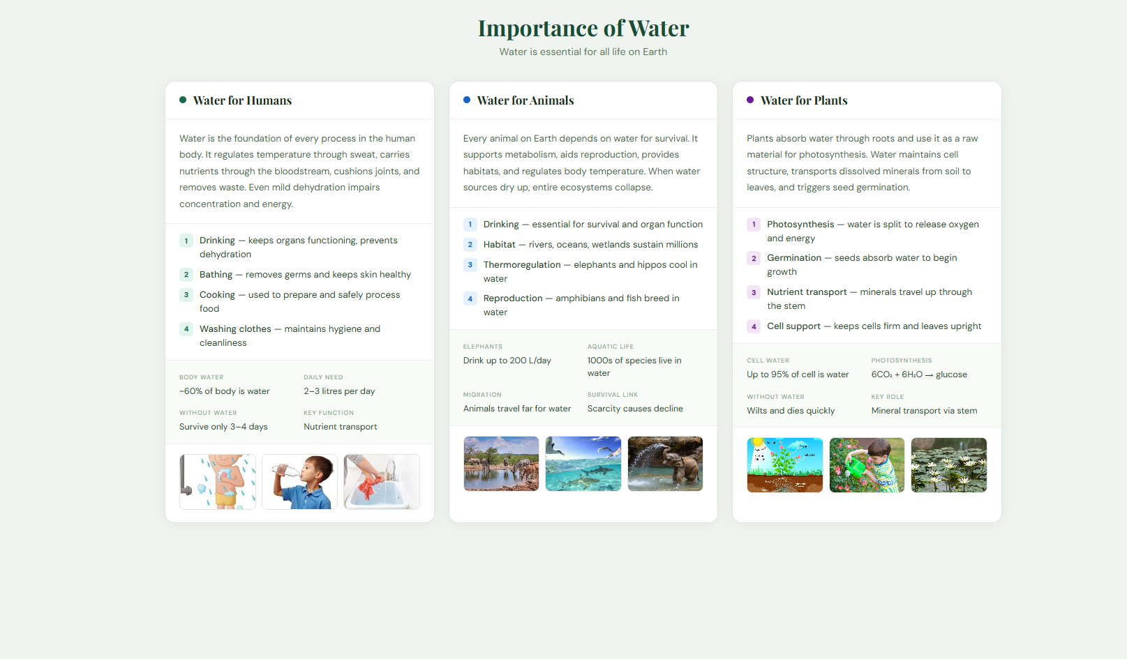 Requirement of Water for Human,Animal and plants