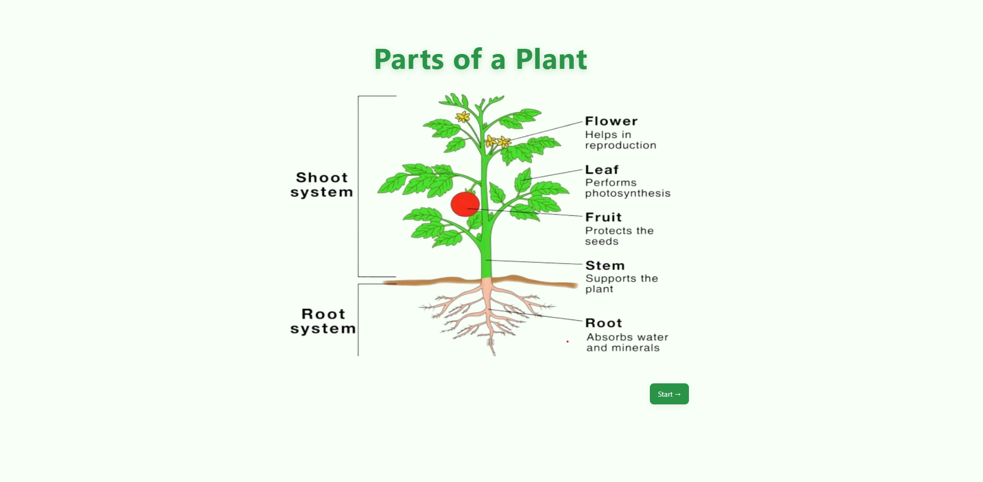 Naming of Plant Parts