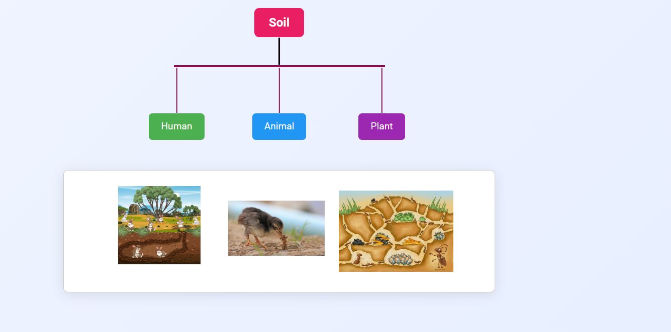 Requirement of Soil for Human,Animal and Plant