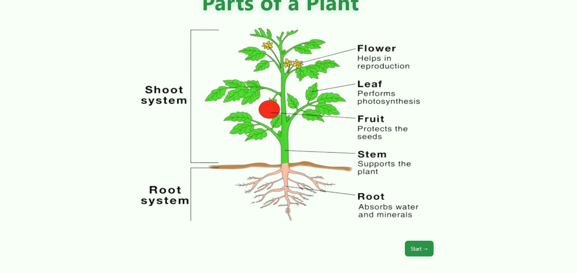 Different parts of plant