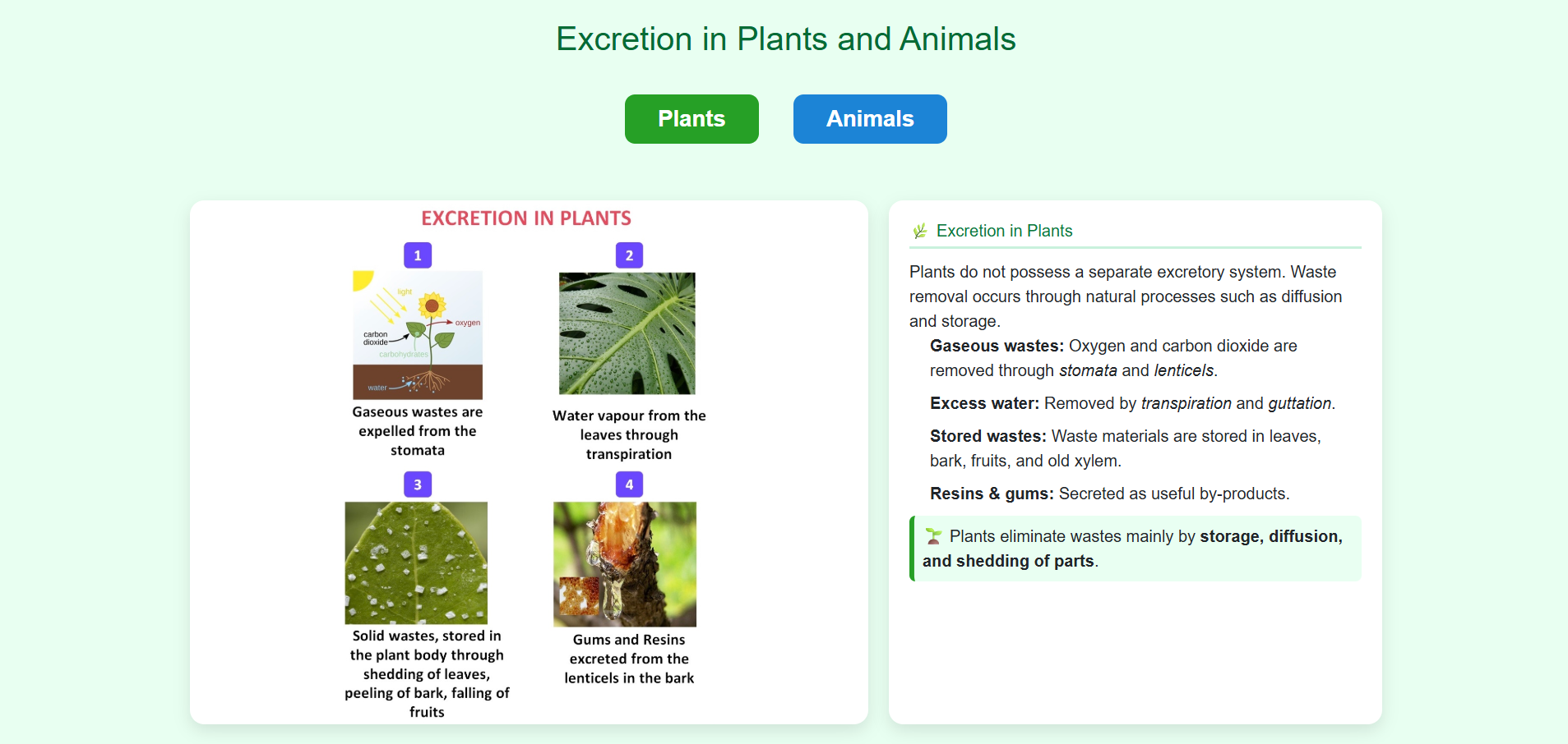 Excretion in Plants and Animals