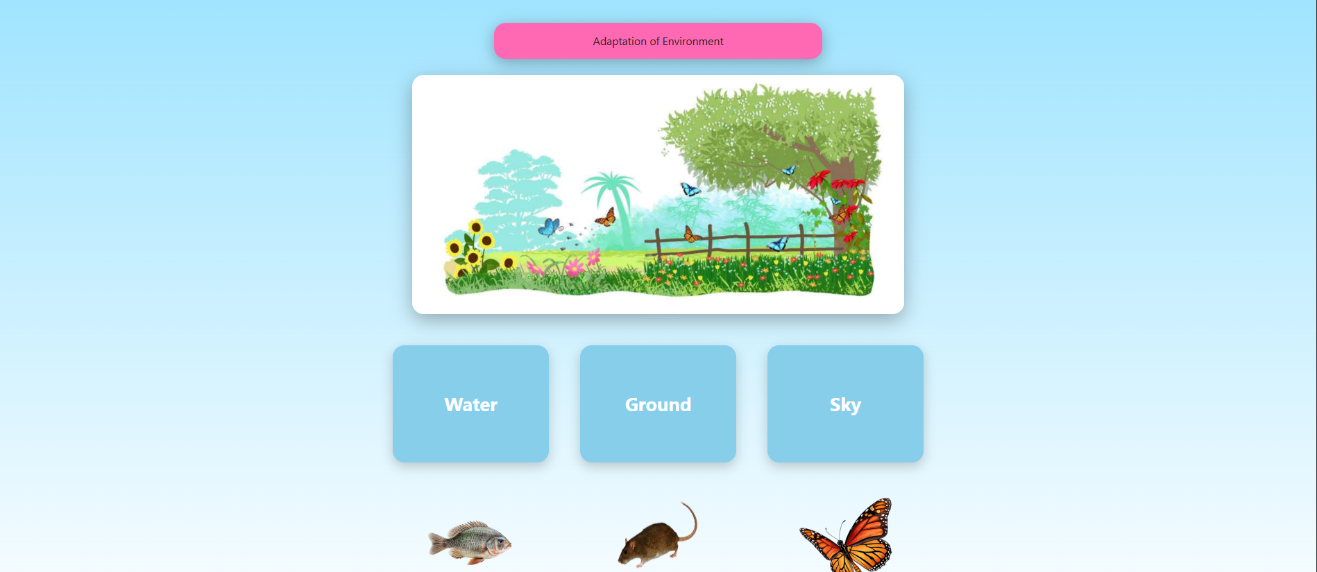 Adaptation of Organisms
