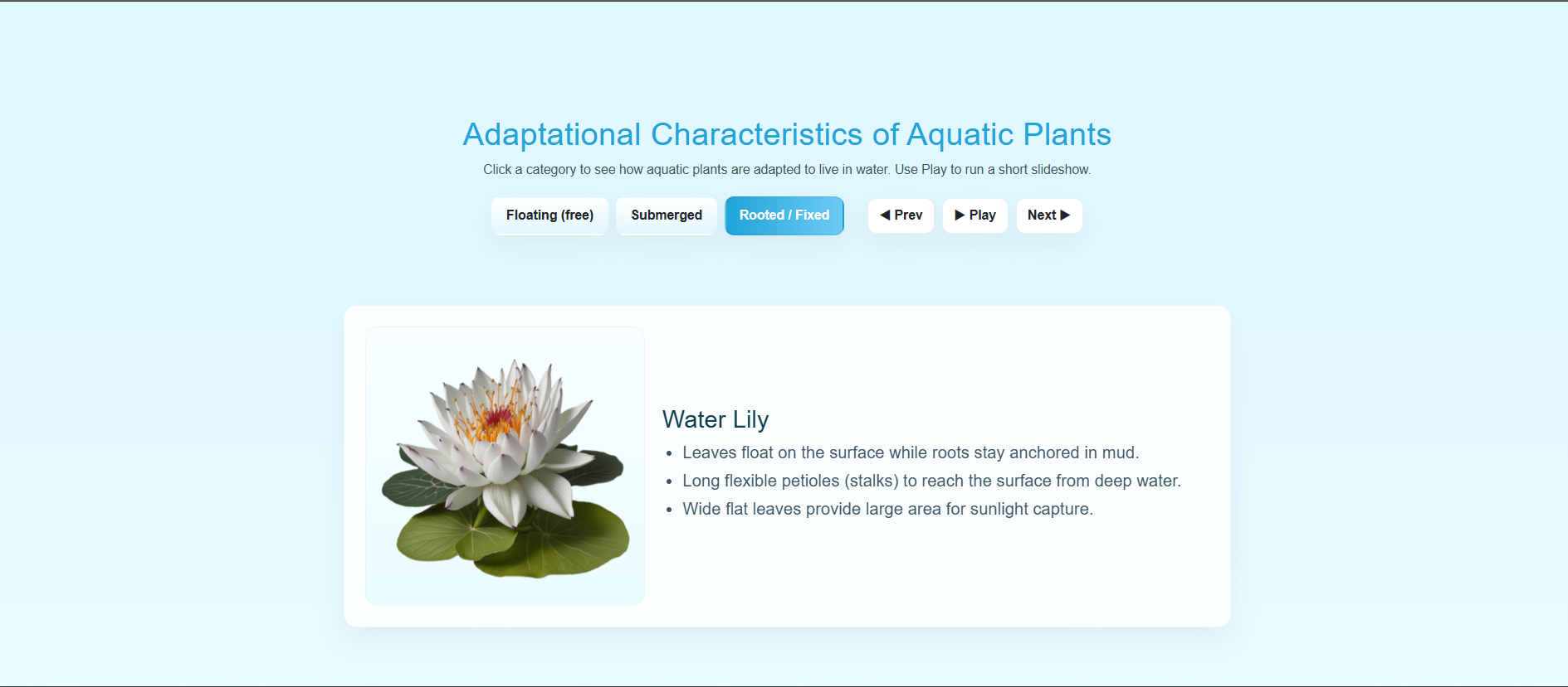 Adaptational characteristics of Aquatic Plants