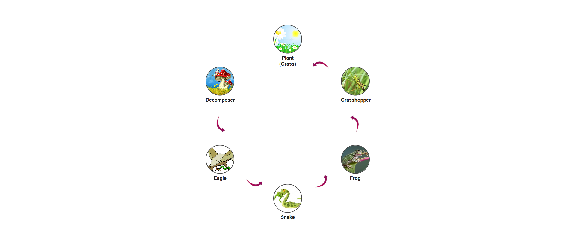 Ecosystem