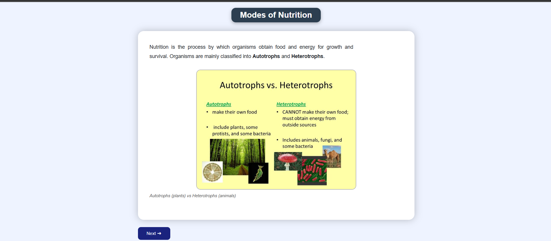 Modes of Nutrition