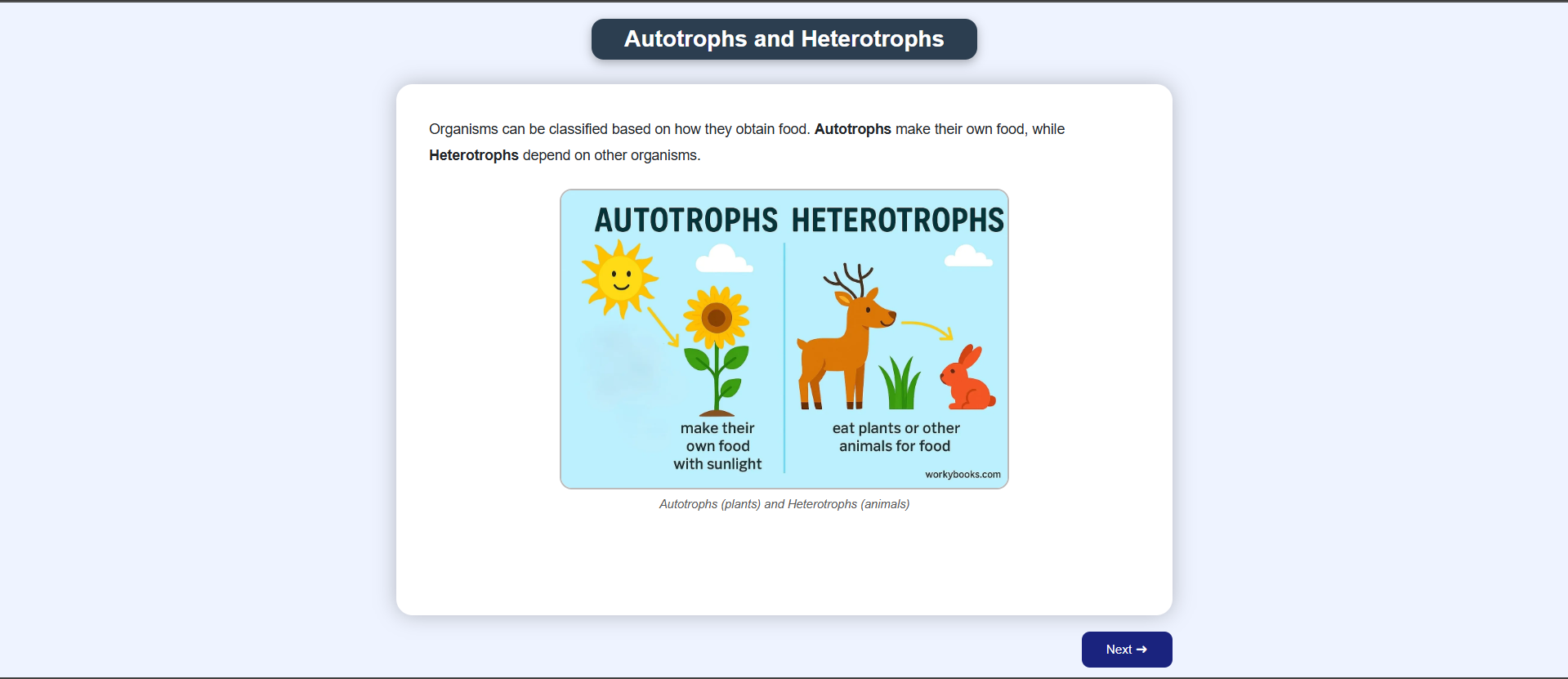 Autotrophs and Heterotrophs