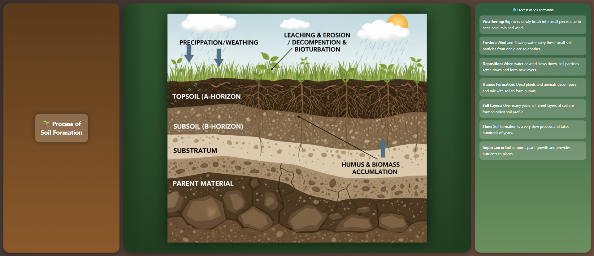 Process of Soil Formation