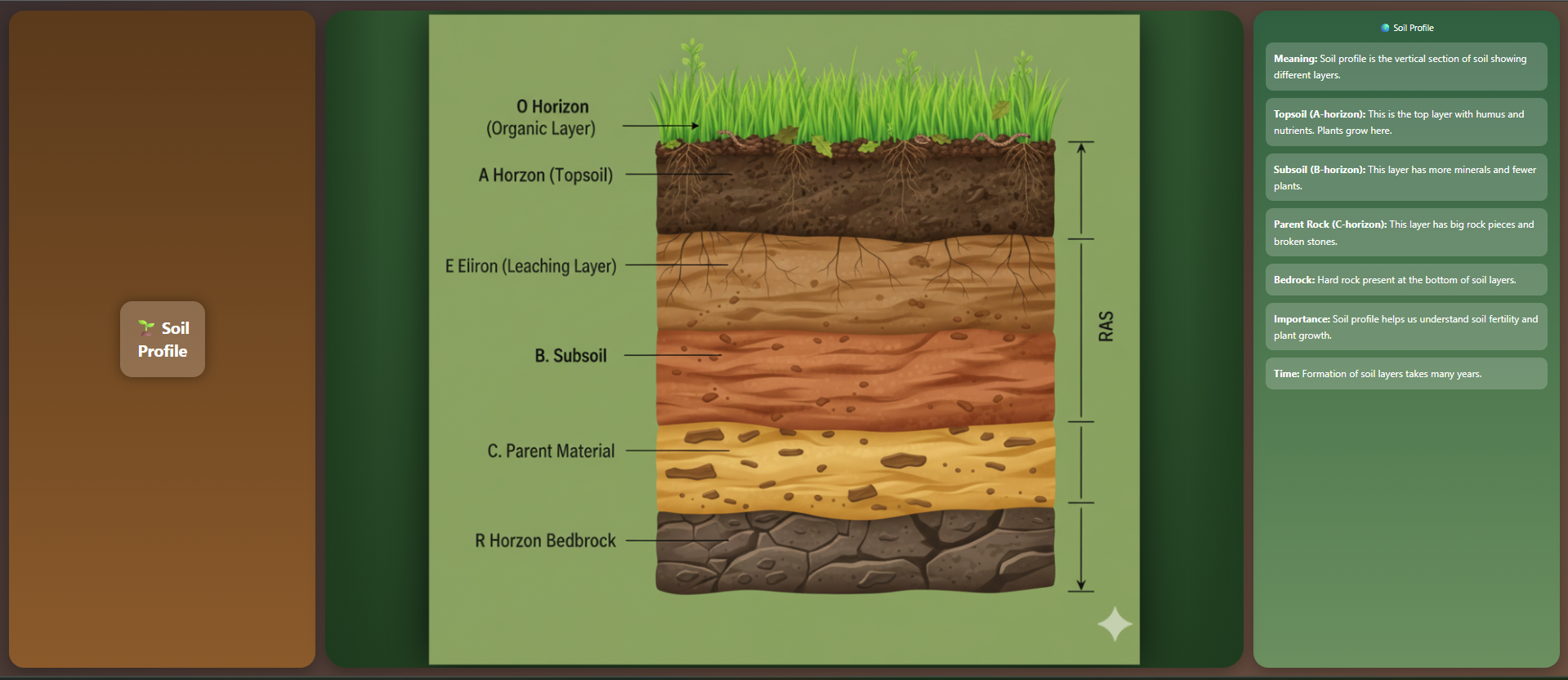 Soil Profile