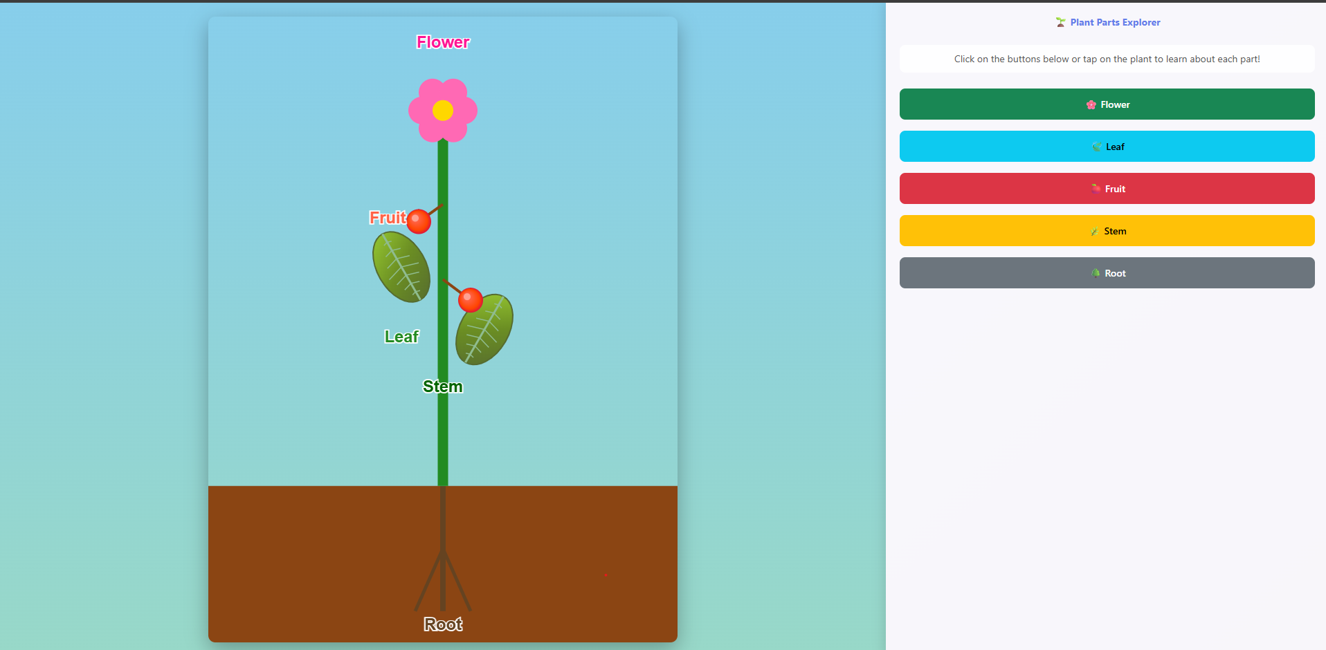Parts of a Plant