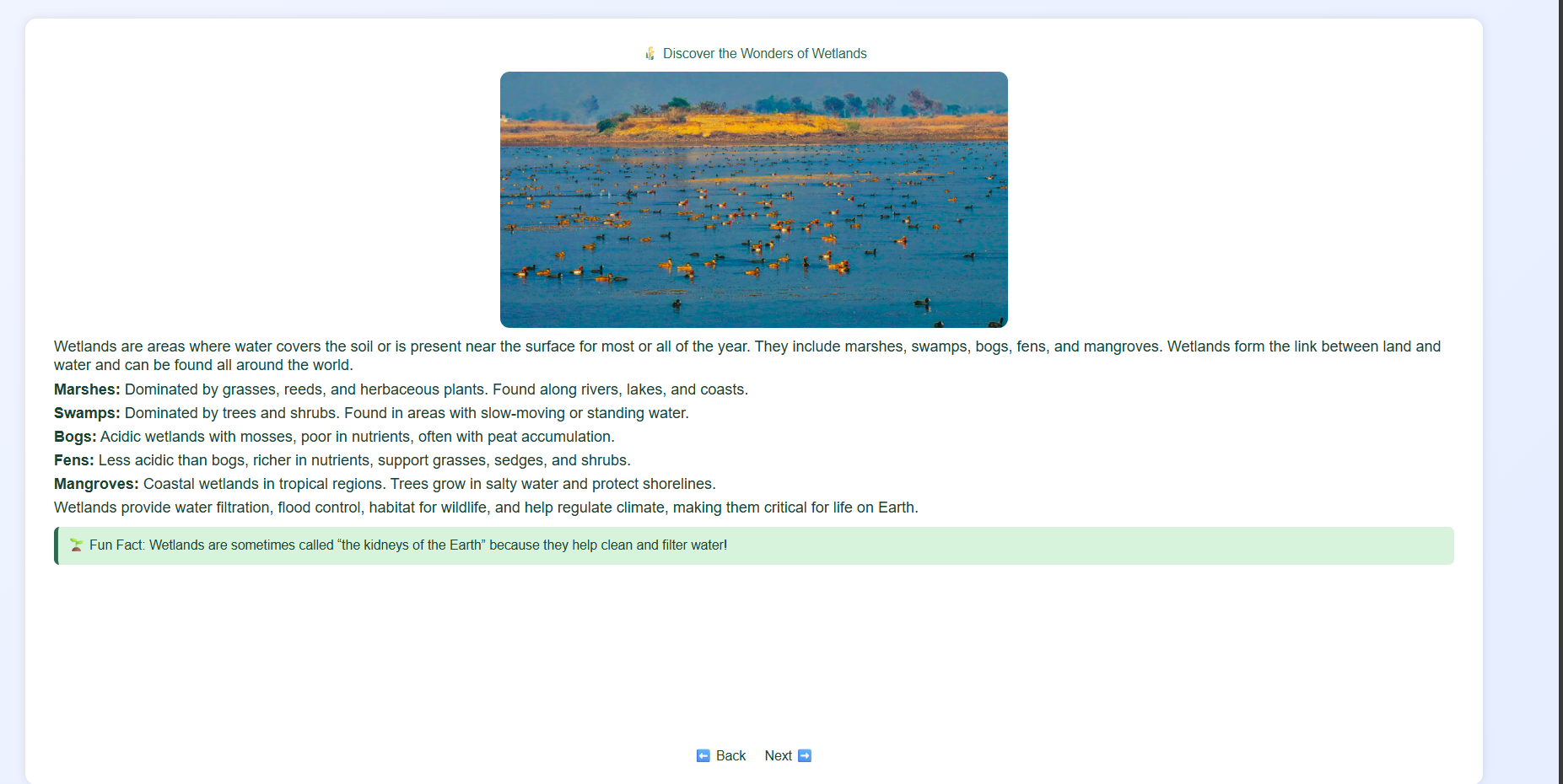 Wetlands