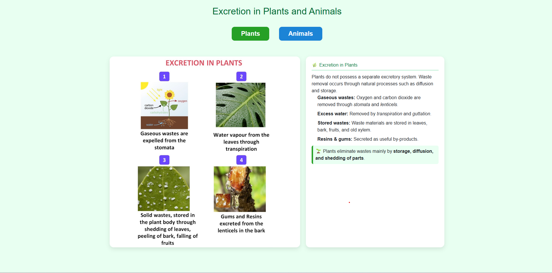 Excretion in Plants and Animals