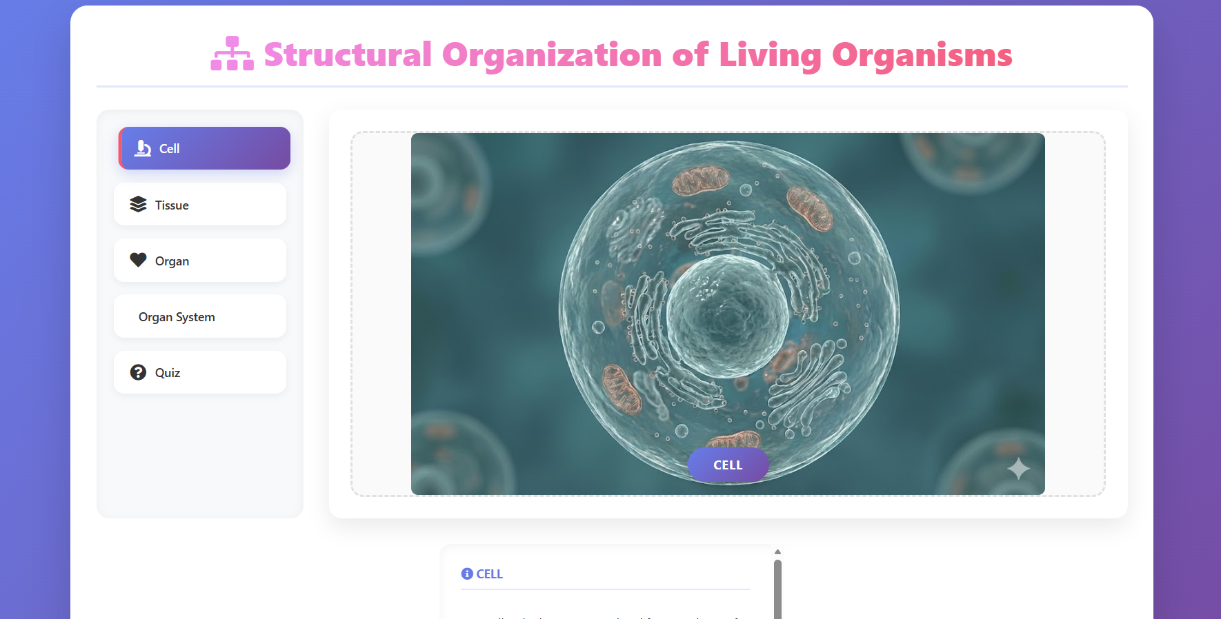 Interrelationship among Cell, Tissue and Organ in Human Body