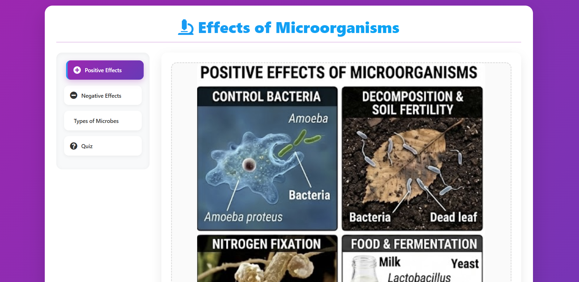 Microorganism
