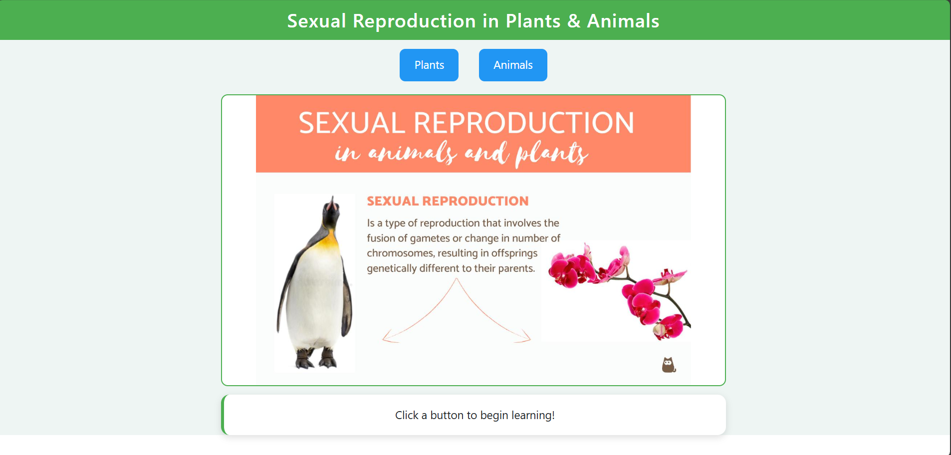 Sexual Reproduction in Plants and Animals