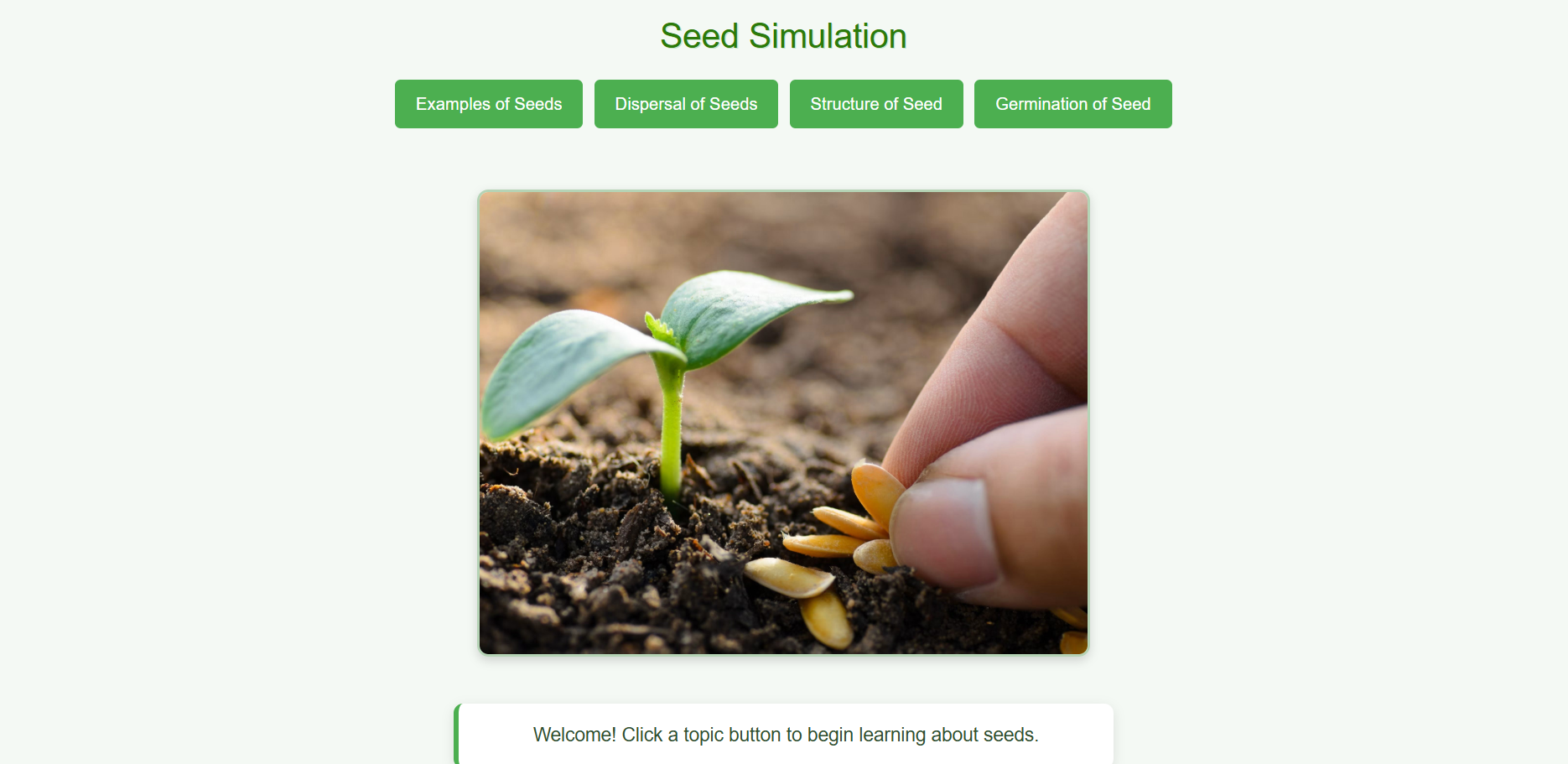 Seed