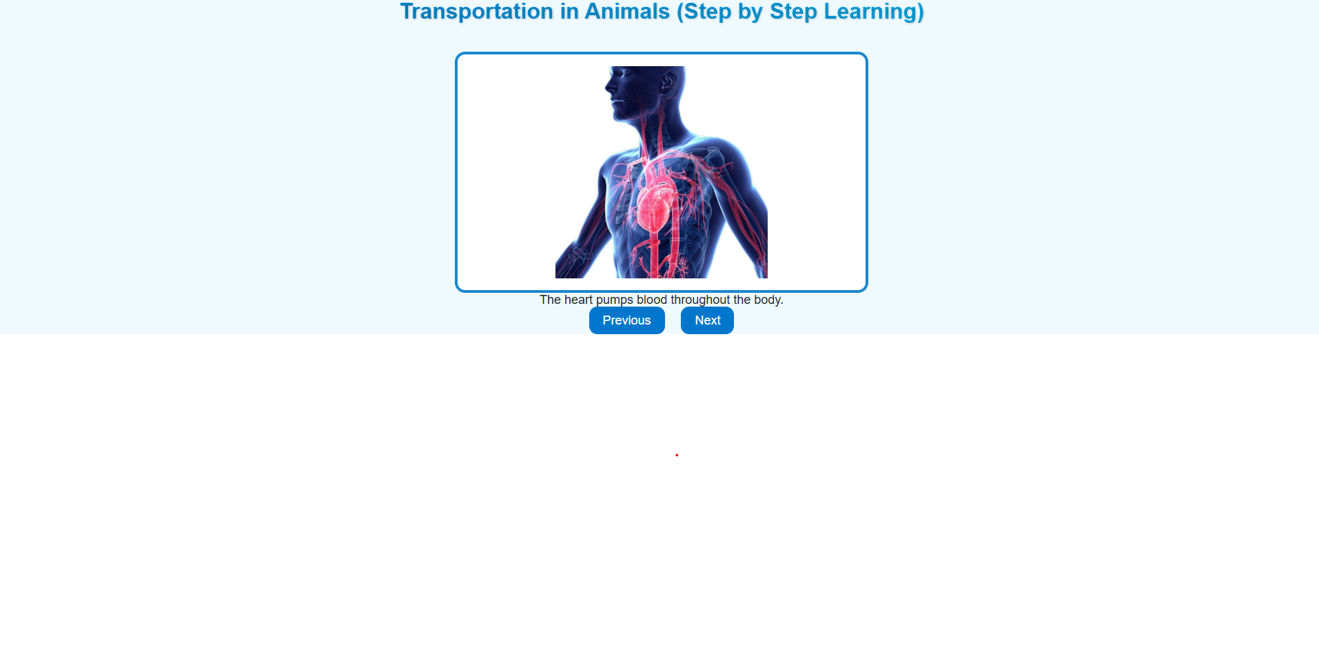 Transportation in Animals