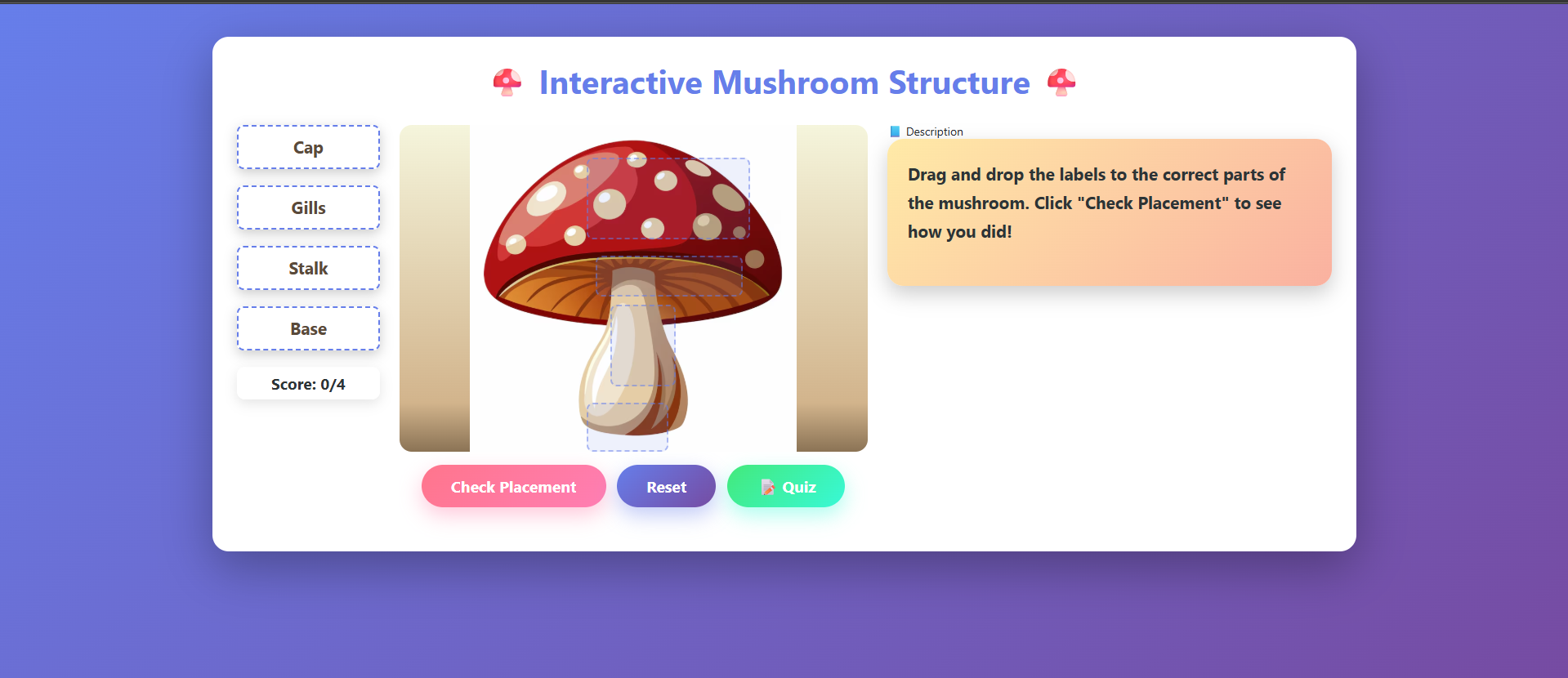 Structure of mushroom