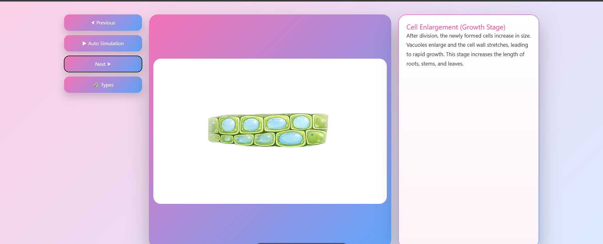 Plant Tissue
