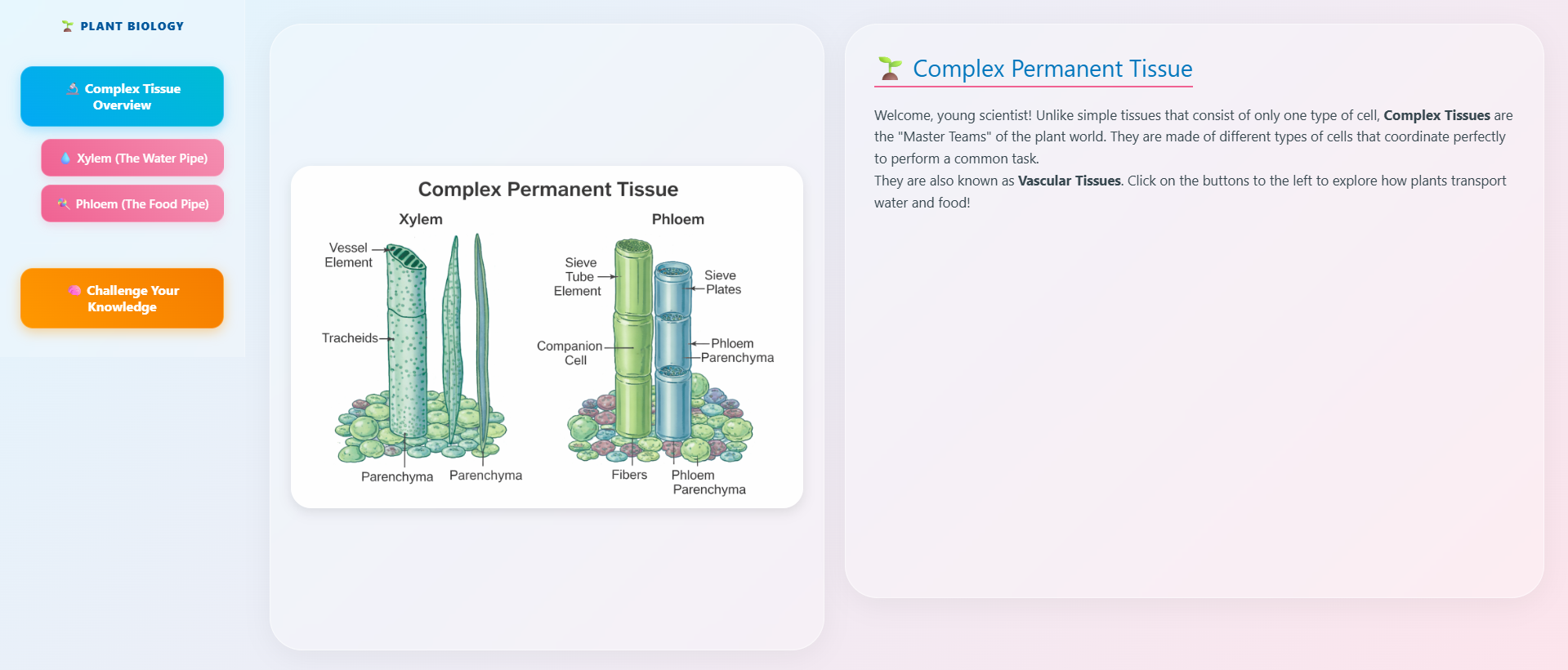 Complex tissue