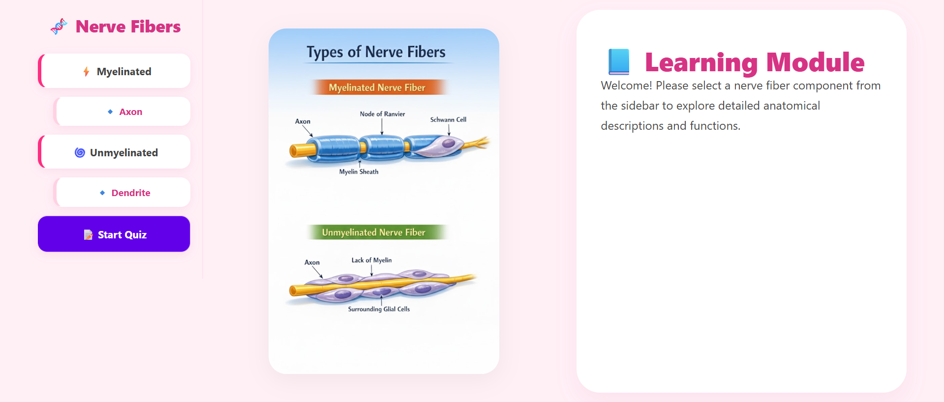 Animal tissue