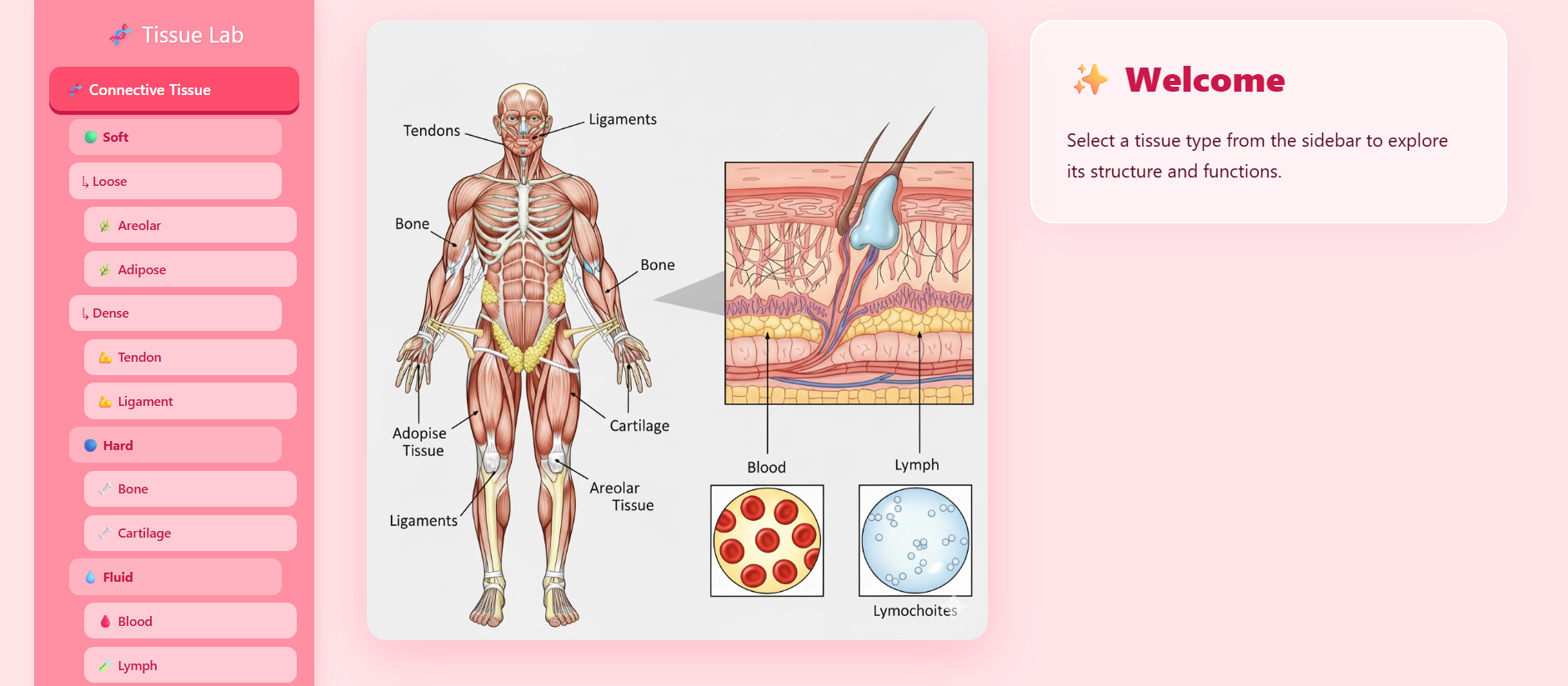 Connective tissue