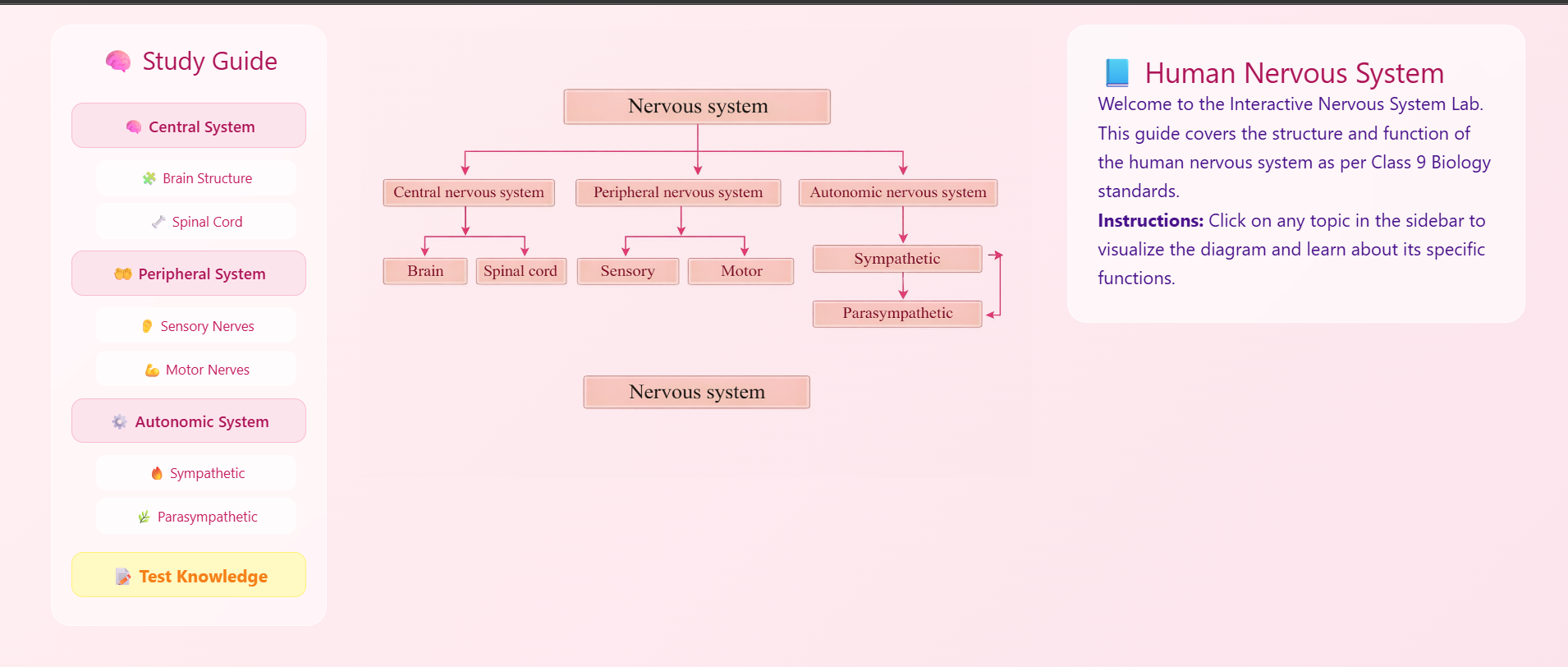 Human Nervous system