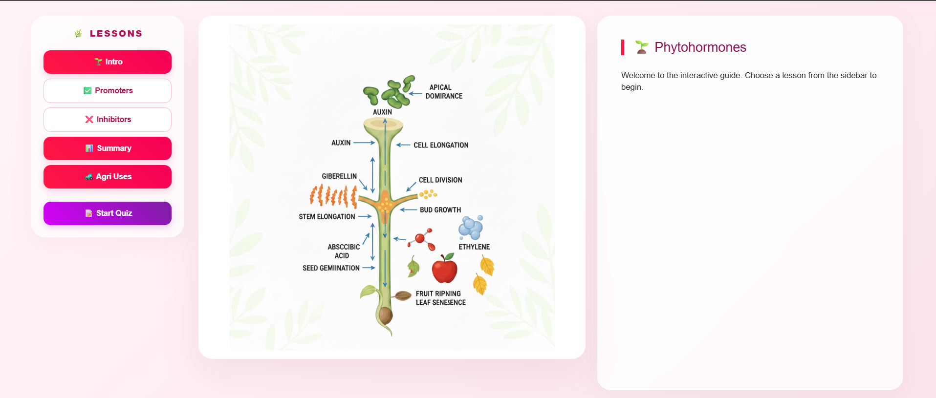 Plant Hormone
