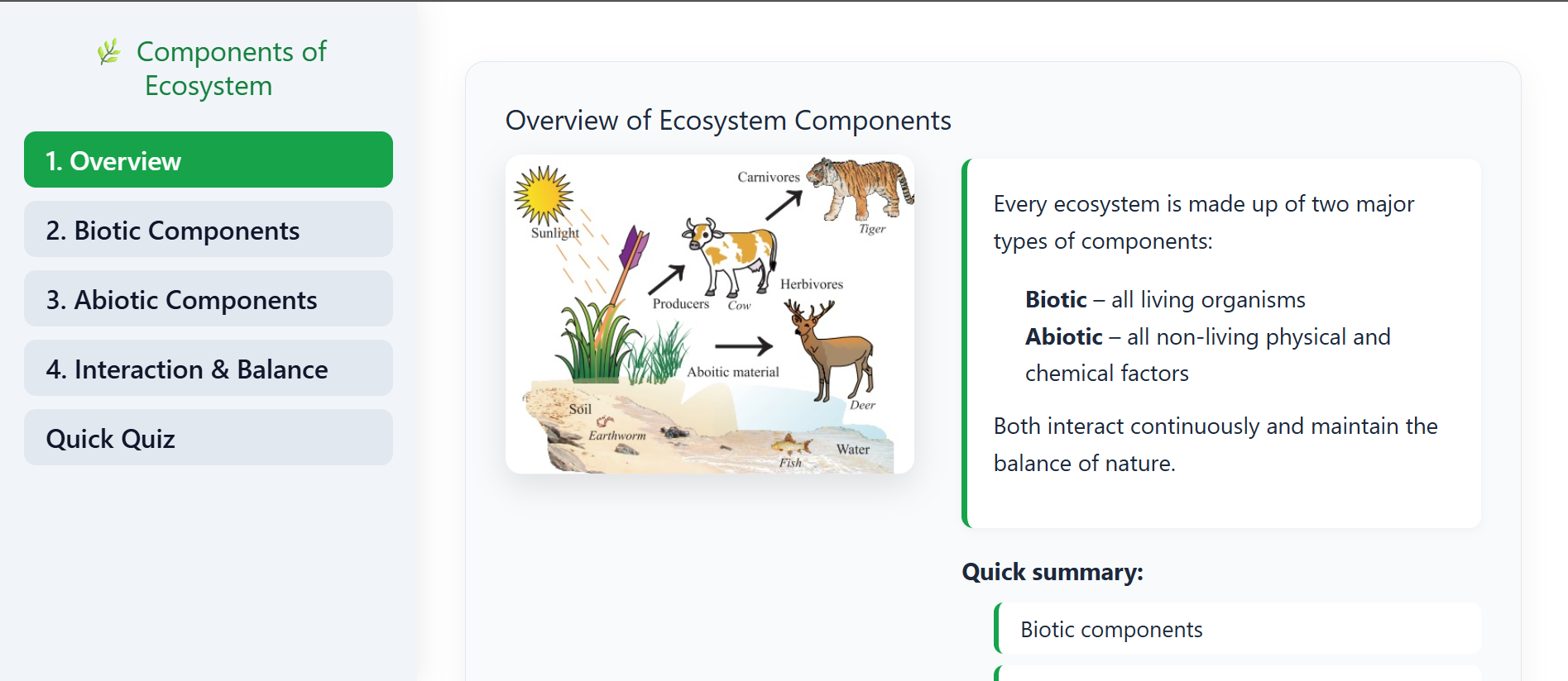 Components of ecosystem