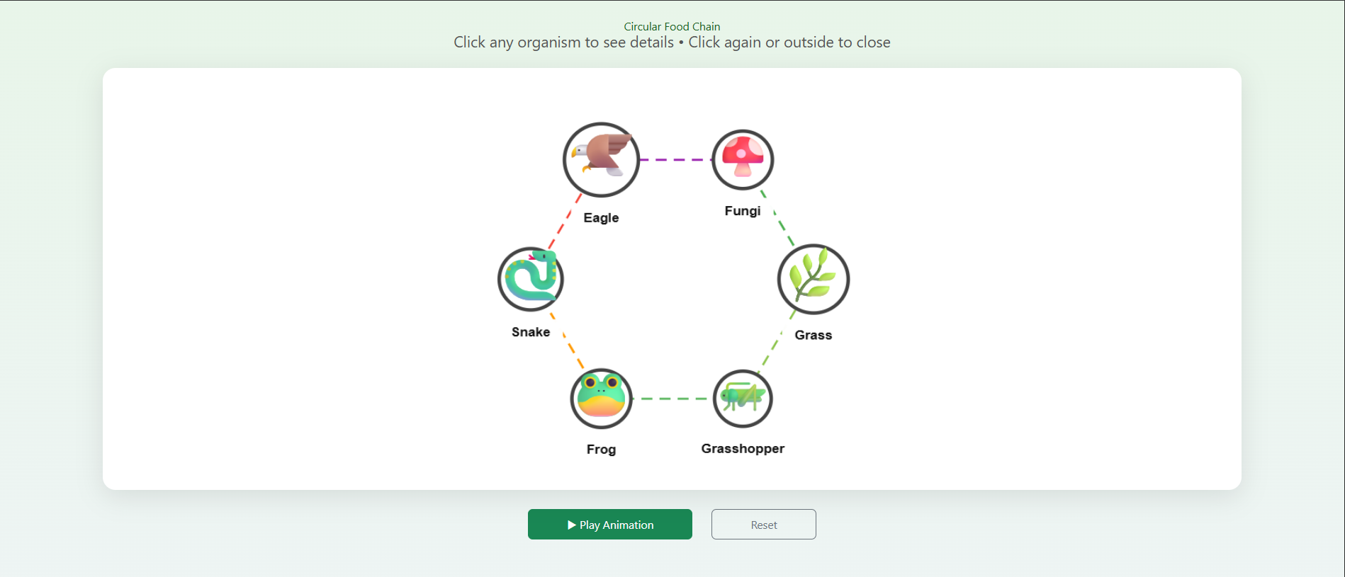 Food chain